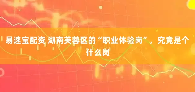 易速宝配资 湖南芙蓉区的“职业体验岗”，究竟是个什么岗