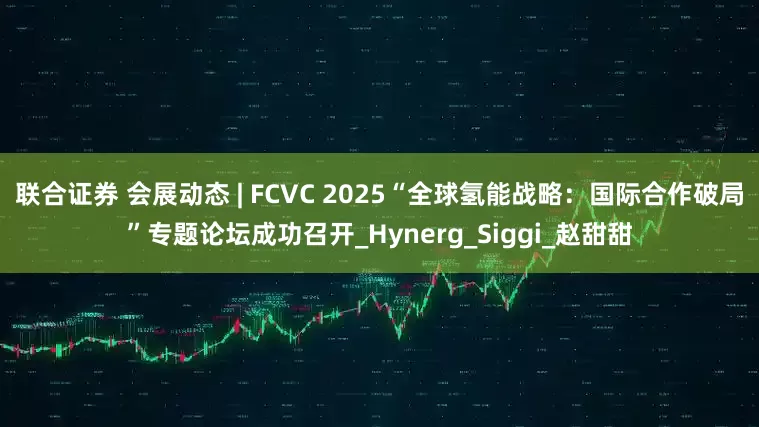 联合证券 会展动态 | FCVC 2025“全球氢能战略：国际合作破局”专题论坛成功召开_Hynerg_Siggi_赵甜甜