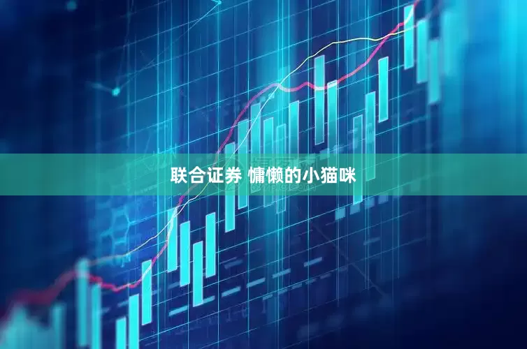 联合证券 慵懒的小猫咪