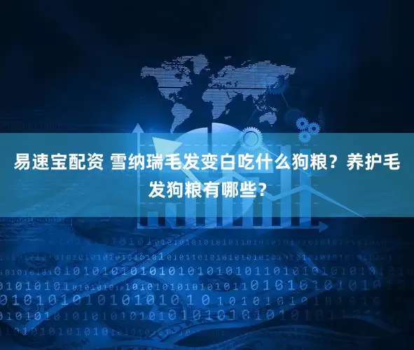 易速宝配资 雪纳瑞毛发变白吃什么狗粮？养护毛发狗粮有哪些？
